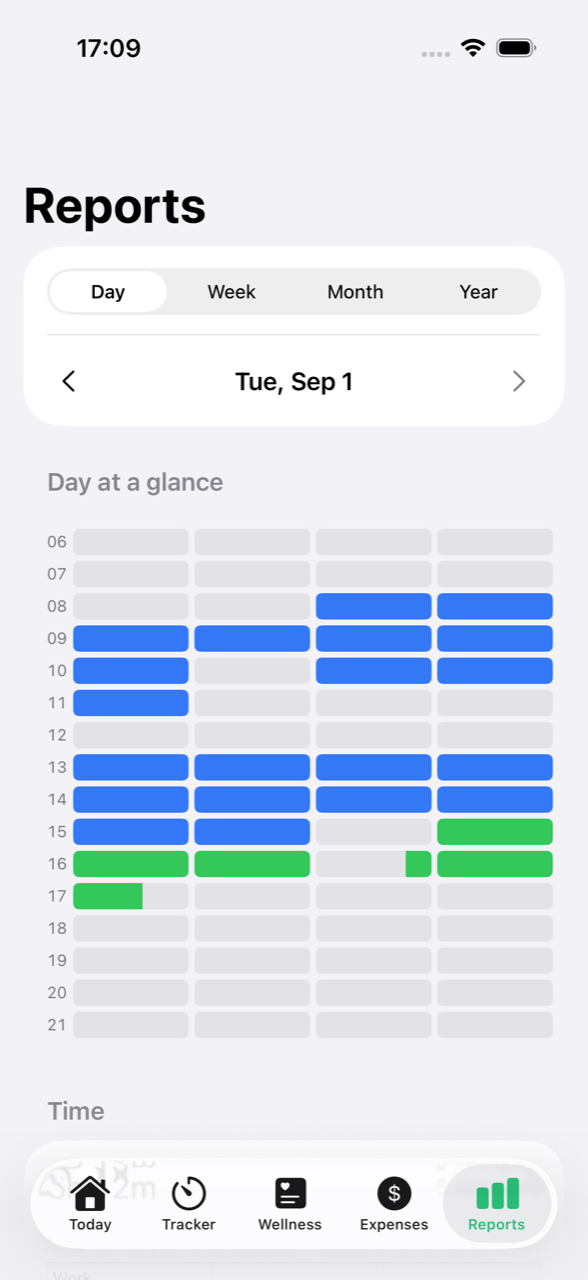 hoppr Reports tab: the quarter-hour day grid, hours down the side, four blocks per hour coloured by project